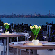 LED Tulip Flower Night Light Flowerpot Potted Plant Landscape