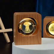 Beech Crystal Ball LED Night Light USB Dimmable Lamp